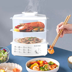 Image of ✨ Electric Steamer and Defroster ✨ - ZenAura