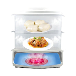 Image of ✨ Electric Steamer and Defroster ✨ - ZenAura