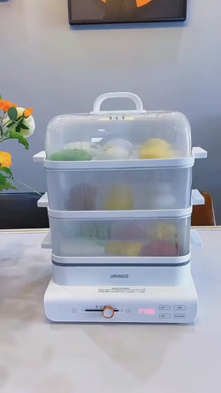 Image of ✨ Electric Steamer and Defroster ✨